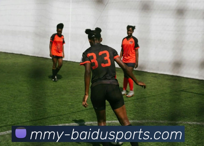 百度体育官网首页服务体系