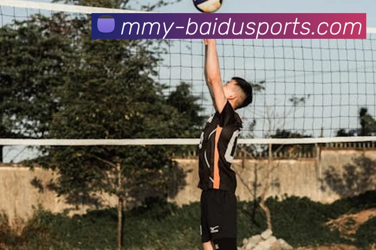 多媒体互动体验